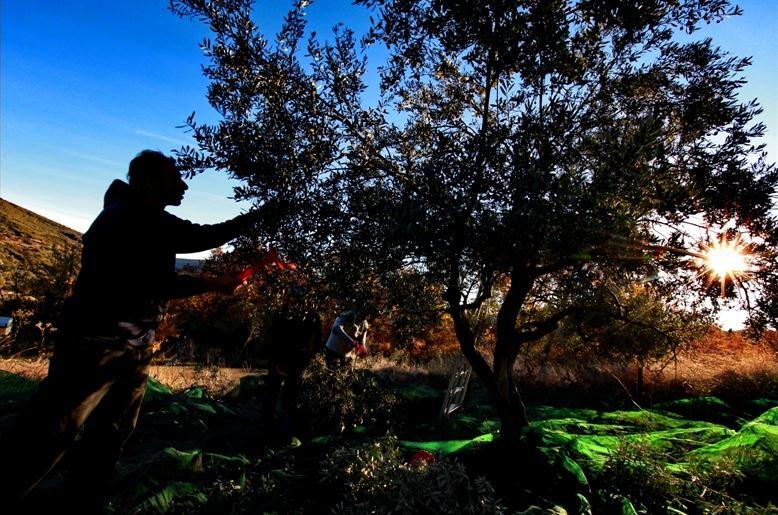 Υποστηρίζουμε τους μικρούς αγρότες